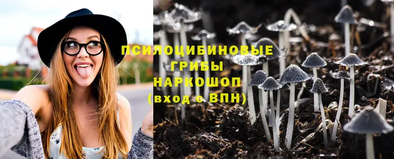 купить наркотик  Пермь  Галлюциногенные грибы MAGIC MUSHROOMS 